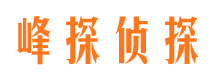 顺河商务调查